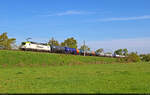 6193 893-5 (Siemens Vectron) zieht Kesselwagen durch die Saale-Elster-Aue bei Schkopau Richtung Merseburg Hbf.
