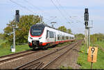 Vom Saaleradweg beobachtet, n�hert sich 6442 918-6 (Bombardier Talent 3 Plus) dem Bahnhof Schkopau. Zuvor muss er noch die Saale �berqueren.

🧰 Alstom Transport Germany GmbH, eingesetzt bei der Abellio Rail Mitteldeutschland GmbH
🚝 RB 74666 (RB25) Halle(Saale)Hbf–Saalfeld(Saale)
🕓 29.4.2025 | 11:35 Uhr