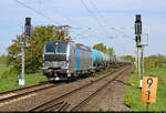 7193 200-1 (Siemens Vectron) zieht Kesselwagen durch die Saale-Elster-Aue bei Schkopau Richtung Merseburg Hbf.
In Szene gesetzt wurde der Zug vom Saaleradweg, der an dieser Stelle auf der Bahnbr�cke �ber die Saale verl�uft.

🧰 Railpool GmbH, aktueller Mieter unbekannt
🕓 29.4.2025 | 11:39 Uhr