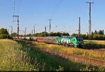 Die ersten zwei Wagen �berraschten: Ein Kesselzug mit 2159 270-8 (Stadler Eurodual) nimmt noch historisches Rollmaterial mit: einen n-Wagen mit der Bezeichnung  Bn723  (50 80 22-50 005-9 D-WFL) sowie