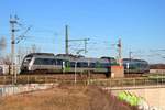 1442 134 (Bombardier Talent 2) der S-Bahn Mitteldeutschland (DB Regio Südost) als S 37737 (S7) von Halle-Nietleben nach Halle(Saale)Hbf Gl.