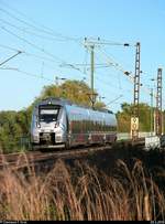 Über den Sträuchern: 9442 110 (Bombardier Talent 2) von Abellio Rail Mitteldeutschland als RB 74788 (RB75) von Halle(Saale)Hbf nach Lutherstadt Eisleben fährt in der Saaleaue bei