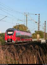 Über den Sträuchern: Nachschuss auf 442 603 (Bombardier Talent 2) der S-Bahn Mitteldeutschland (DB Regio Südost) als S 37759 (S7) von Halle-Nietleben nach Halle(Saale)Hbf Gl.