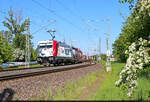An der Hausstrecke von Clemens Kral  2293 Bilder