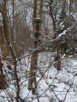 Rätselfoto, ist dies ein Bahnbild ? Ja , für Kenner, dies ist der Mast .