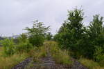 Blick auf die alte Strecke von Herzberg nach Bleicherode Ost. 2003 wurde die Strecke stillgelegt und ist heute auf großen Teilen abgebaut.

Bleicherode 16.08.2021 