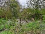 Ein Gleisrest zwischen dem ehem. Hp Gy�rer Stra�e und der Gerabr�cke, am 02.05.2021 in Erfurt.
Hier fuhr fr�her die S-Bahn Erfurt, zudem geh�rte das Gleis zur Kleinbahn nach Nottleben.