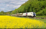 2159 203-9 (Stadler Eurodual) zieht Sch�ttgutwagen s�dlich von Friedland(Han) Richtung Eichenberg.

🧰 European Loc Pool AG (ELP), vermietet an die Heavy Haul Power International GmbH (HHPI)
🕓 4.5.2025 | 16:18 Uhr