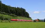 146 262 mit der RB 15517 (Wächtersbach-Frankfurt(Main)Hbf) bei Wirtheim 18.7.21