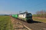 ELL Siemens Vectron 193 739-0 mit Containerzug am 25.03.22 in Nieder Mörlen