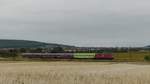 110 491 zieht einen Sonderzug nach Bad Vilbel durch die Wetterau, wo er kurz hinter Butzbach-Ostheim bei frühem Herbstwetter festgehalten werden konnte.