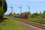 Museumseisenbahn Hanau Sonderzug mit V100 1019 der Ulmer Eisenbahnfreunde am 27.04.25 in Beienheim 