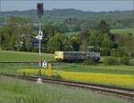 Abgesang auf die Taunus Elevated.