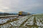 HLB Taunusbahn Alstom Lint41 Doppeltraktion am 12.01.22 bei Wehrheim (Taunus)