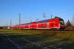 DB Regio Bayern Bombardier Twindexx 445 066 am 11.01.26 in Dettingen am Main
