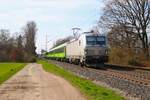Flixtrain 7193 004-7- mit dem FLX10 in Maintal Ost am 19.03.26