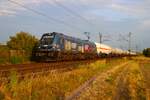 RBP Bahn Stadler Euro 9000 2019 313-6 mit Ganzzug in Dettingen am Main am 04.08.26