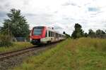VIAS Odenwaldbahn Alstom Lint54 VT203 am 16.08.21 in Seligenstadt