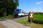 Regionalverkehr Start Alstom Coradia iLint Wasserstofftriebzug 554 109 am 20.05.24 in Königstein