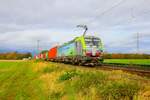BLS Cargo Siemens Vectron 475 412-3 mit Containerzug in Bischofsheim am 04.11.23