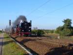 Da in Neustadt (Weinstrae) Lok Wechsel war konnte ich bequem nach Wiesental fahren und dort am 21.09.2011 die 01 0509-8 mit dem Eisenbahn Romantik Sonderzug zum zweiten mal Fotografieren   