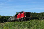 V100 1019 legt sich mit dem DZ 11847 (Bingen (Rhein) Hbf - Neustadt (Weinstr) Hbf) bei Alsenz in die Kurve. Da die eigentliche Fotostelle leider dem Baumschatten zum Opfer fiel, musste kurzfristig eine neue Fotostelle gesucht werden, was nicht einfach war, weshalb diese provisorische Stelle herhalten musste. (25.05.2026)