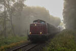 V100 1019 im Nebel des 11.10.25 mit RB 88276 bei Contwig 