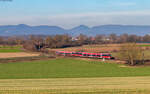 643 032  Lauterecken  und 643 017  Siebeldingen  als RE 12019 (Kaiserslautern Hbf - Karlsruhe Hbf) bei Winden 14.1.25  