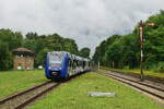 Auf Gleis 3 f�hrt ein: Der Hogwards Express. 620 402 f�hrt in Winden ein.

Winden 18.08.2024