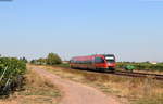 643 012-8 als RB 12411 (Neustadt(Weinstr)Hbf-Karlsruhe Hbf) bei Edenkoben 21.9.20