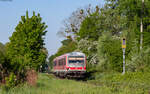 628 441 als RB 81450 (Lauterbourg – Wörth(Rhein)) bei BErg 30.4.25