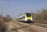 Auch Hamster müssen gepflegt werden. bwegt (Baden-Württemberg) Hamster 3 442 215 ist auf dem Weg von Trier (DB Regio Werk)zurück ins Schwabenland. Strecke 3230 bei Ensdorf Saar am 28.02.2019