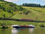 . Der Hamster kam wie gerufen und befuhr den Pndericher Hangviadukt, whrend das Frachtschiff moselaufwrts in Pnderich unterwegs war. 21.06.2014 (Hans)

Der Pndericher Hangviadukt ist ein Hangviadukt auf der Moselstrecke gegenber von Pnderich an der Mosel. Das 786 m lange Bauwerk ist der lngste Hangviadukt in Deutschland. Unmittelbar am nrdlichen Ende des Viaduktes beginnt der Prinzenkopftunnel.

Der Hangviadukt ist etwa 10 Meter hoch und weist 92 Bgen auf. Jeder der Bgen hat eine Spannweite von 7,20 m, die Pfeiler sind 1,30 m stark. Die Brcke besteht aus Bruchsteinen aus einem nahegelegenen Steinbruch und Ziegelsteinen, die von Ziegeleien aus Merl und St. Wendel geliefert wurden. Insgesamt wurden 19.000 m3 Mauerwerk verbaut.

Die Vermessungsarbeiten im Bereich des Viaduktes begannen im Februar 1872. In den Jahren 1877 und 1878 wurde zunchst der Viadukt fr das moselseitige Gleis gebaut und am 15. Mai 1879 mit der Erffnung der Untermoselbahn in Betrieb genommen. Die von vornherein geplante bergseitige Erweiterung wurde in den Jahren 1879 und 1880 gebaut. Am 7. Oktober 1880 fand anlsslich der Fertigstellung der Brcke ein Schlusssteinfest statt.

Gegen Ende des Zweiten Weltkrieges sprengten deutsche Truppen auf dem Rckzug vier Bgen des Viaduktes. Die Reparaturarbeiten wurden nach Kriegsende mit Hilfe dienstverpflichteter Arbeitskrfte begonnen. Das moselseitige Gleis war am 1. September 1946 wieder befahrbar und bei der Wiederinbetriebnahme der Moselstrecke am 24. April 1947 war der Pndericher Viadukt wieder vollstndig hergestellt.

Bei Bauarbeiten im Jahr 1952 wurde eine Urkunde gefunden, die beim Schlusssteinfest eingemauert worden war. Diese fhrt alle Dienststellen und Firmen auf, die sich beim Bau beteiligt hatten und das Dokument vergleicht die damaligen Baukosten mit denen fr Lebensmittel wie Brot, Fleisch und Moselwein. Eine Moselweinflasche kostete damals je nach Qualitt zwischen 1 und 5 Mark.

Anfang der 1970er Jahre wurden bei der Elektrifizierung der Moselstrecke die Gleise auf dem Viadukt tiefer gelegt, wozu kleinere Sprengarbeiten ntig waren. Dies war erforderlich, weil das Niveau der Brckengleise an das der Gleise im anschlieenden Prinzenkopftunnel angepasst werden musste, welche ebenfalls abgesenkt wurden, damit gengend Raum fr die Fahrleitung im Tunnel geschaffen werden konnte.

Im Rahmen der Feierlichkeiten zum 175. Geburtstag der deutschen Eisenbahn im Jahr 2010 wurde der Hangviadukt vom 2. bis 5. April beleuchtet und von Sonderzgen auf der Moselstrecke und der Nebenbahn nach Traben-Trarbach befahren.
