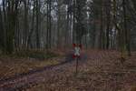 Blick auf einen kleinen Bahnübergang im Wald bei Höhn.