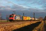 Am Morgen des 23.12.2017 fuhr bei den ersten Sonnenstrahlen des Tages die Re 482 032-0 mit einem langen Containerzug durchs Markgräflerland in Richtung Basel.