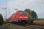 Mit einer RB (Offenburg - Neuenburg (Baden)) fuhr am Nachmittag des 04.09.2018 die 146 217-5 über die KBS 703 durchs Rheintal in Richtung Müllheim (Baden) und wird kurz später am