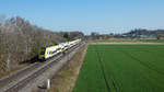 1462 012 + 1462 007 als RE5335 (Offenburg - Basel SBB) am 31.03.2021 bei Oberschopfheim.