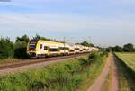 1462 011 und 1462 004 als RE 17003 (Offenburg-Basel Bad Bf) bei Köndringen 16.6.21