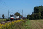 TXL 186 101 mit einem Containerzug am 08.09.2021 kurz vor Riegel-Malterdingen.