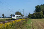 412 024 (Tz4024) als ICE 275 (Berlin Ostbahnhof - Interlaken Ost) am 08.09.2021 kurz vor Riegel-Malterdingen.