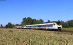 463 008, 463 018 und 463 009 als RB 17123 (Offenburg-Freiburg(Brsg)Hbf) bei Riegel 23.9.21