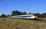 463 010; 463 005 und 463 020 als RB 17125 (Offenburg-Freiburg(Brsg)Hbf) bei Riegel 23.9.21