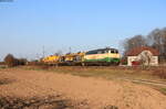 218 396-0 mit dem DGV 56405 (Kerkerbach - Basel Bad Rbf) bei Schutterwald 5.3.22