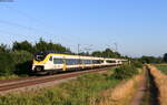 463 003-4; 463 006-7 und 463 009-1 als RB 17159 (Offenburg - Basel Bad Bf) bei Köndringen 10.6.22