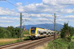 1462 015 und 1462 010 als RE 17024 (Basel Bad Bf - Karlsruhe Hbf) bei Köndringen 10.6.22