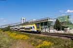 1462 014 als RE 17019 (Offenburg - Basel Bad Bf) bei Friesenheim 25.8.22