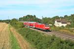 146 116-9 mit einem RE nach Basel SBB am 15.08.12 zwischen Mllheim (Baden) und Auggen.