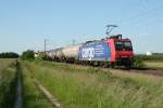 482 009-8 mit einem gemischten Kesselzug am Abend des 06.06.13 bei Buggingen auf Hhe des Sbk's 260.