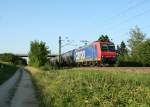 482 013-0 mit einem Kesselzug gen Sden am Abend des 04.08.13 bei Hgelheim.