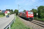 146 113-6 mit einem RE nach Basel SBB am Nachmittag des 15.08.13 bei Schallstadt.